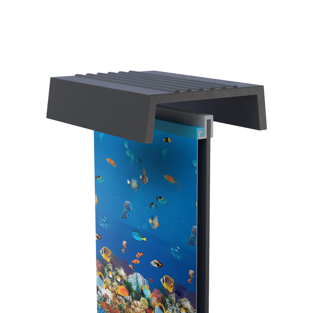 GP_Toile_Hors_Terre_Carabbean-05