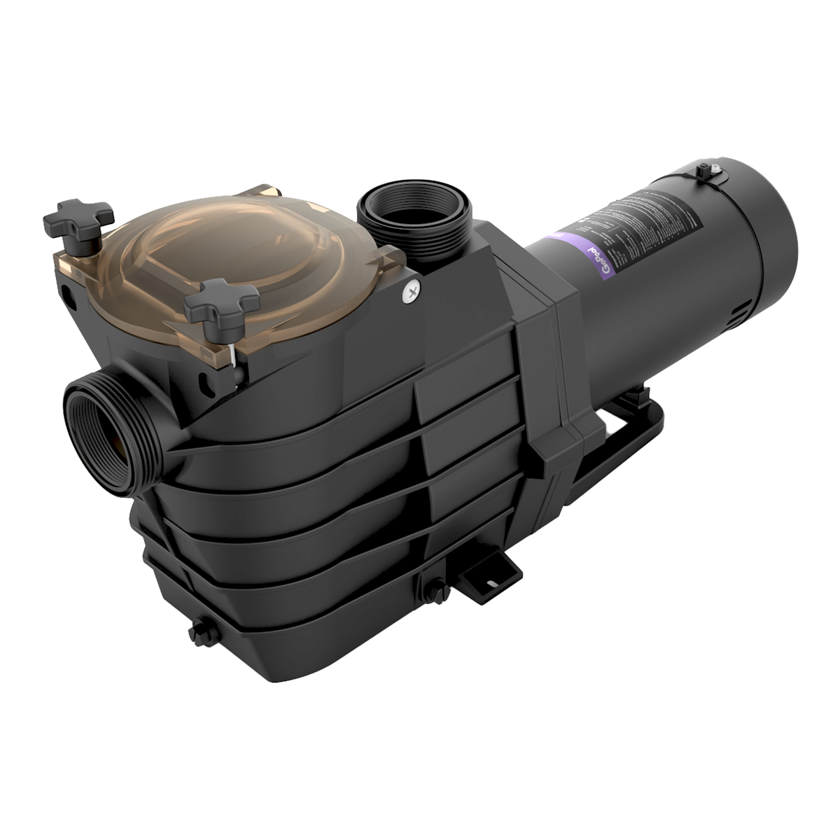 Rx Clear Mighty Niagara 1.5 HP Dual Speed Inground Swimming Pool Pump Rx Clear Mighty Niagara 1.5 HP Dual Speed Inground Swimming Pool Pump