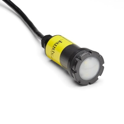 Jandy WaterColors LED Light - 100' of wire