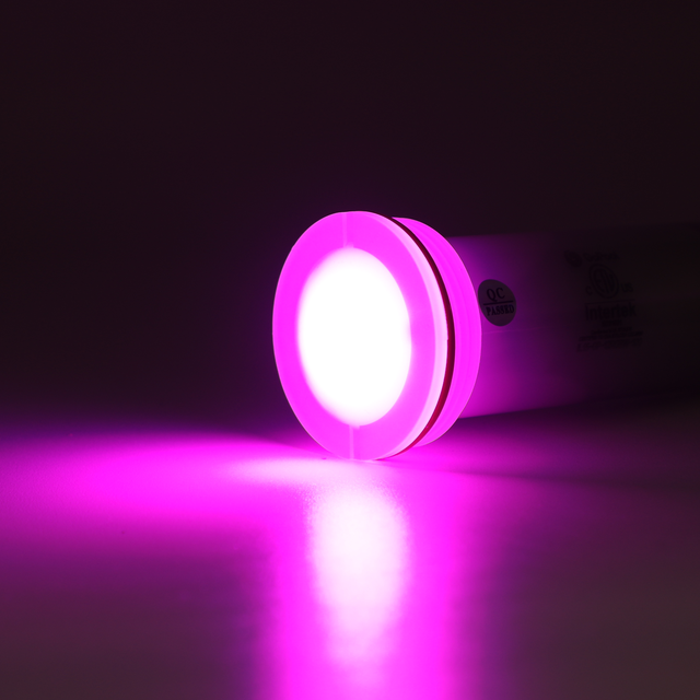 IL15 1.5'' - Lumière pour piscine creusée