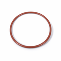Chlorinator O-ring 