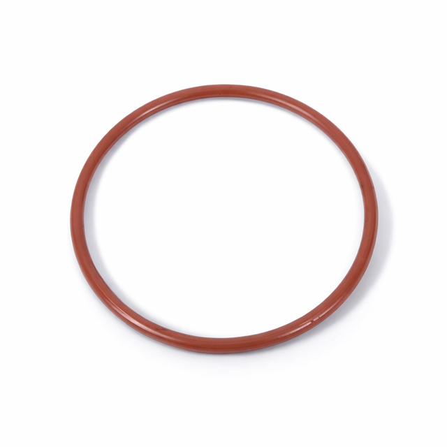 Chlorinator O-ring