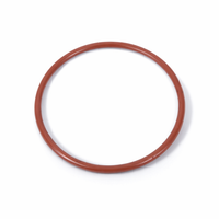 Chlorinator O-ring