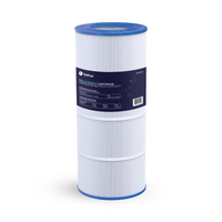 Pentair Clean & Clear RP 100 sq ft Cartridge