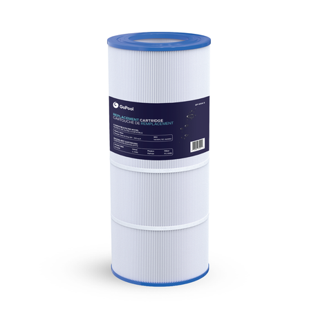 Pentair Clean & Clear RP 100 sq ft Cartridge