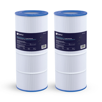 Pentair Clean & Clear RP 100 sq ft Cartridge