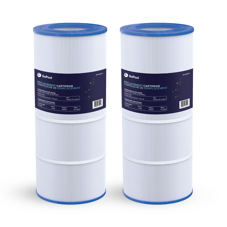 Pentair Clean & Clear RP 100 sq ft Cartridge