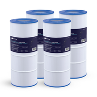 Pentair Clean & Clear RP 100 sq ft Cartridge