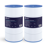 Hayward SwimClear / CF1 Single Cartridge 100 sq ft Cartridge