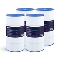 Hayward SwimClear / CF1 Single Cartridge 100 sq ft Cartridge