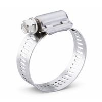 Stainless steel clips