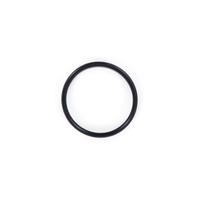 Inground Pump Diffuser O-ring
