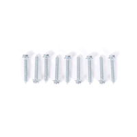 Solar Cover Reel Screw ST5.5×38