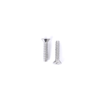 Solar Cover Reel Screw ST5.5×25