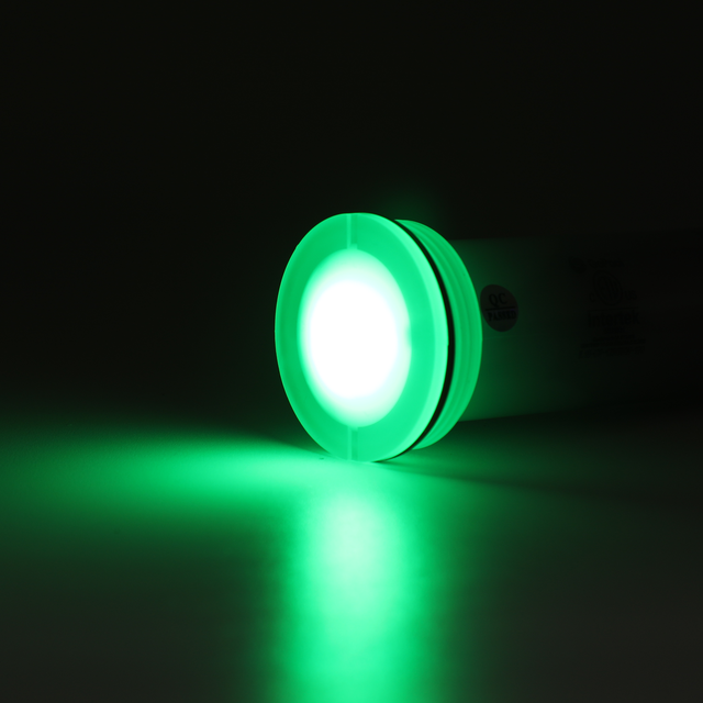 IL15 1.5'' - Lumière pour piscine creusée