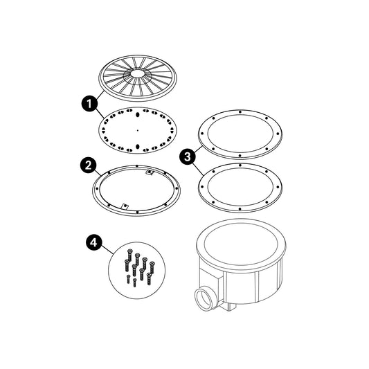 Stainless Steel Screws (10)